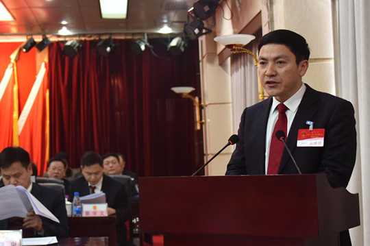 市委副书记,市长罗先东向大会作政府工作报告